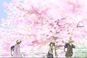 蜜牙倒闭